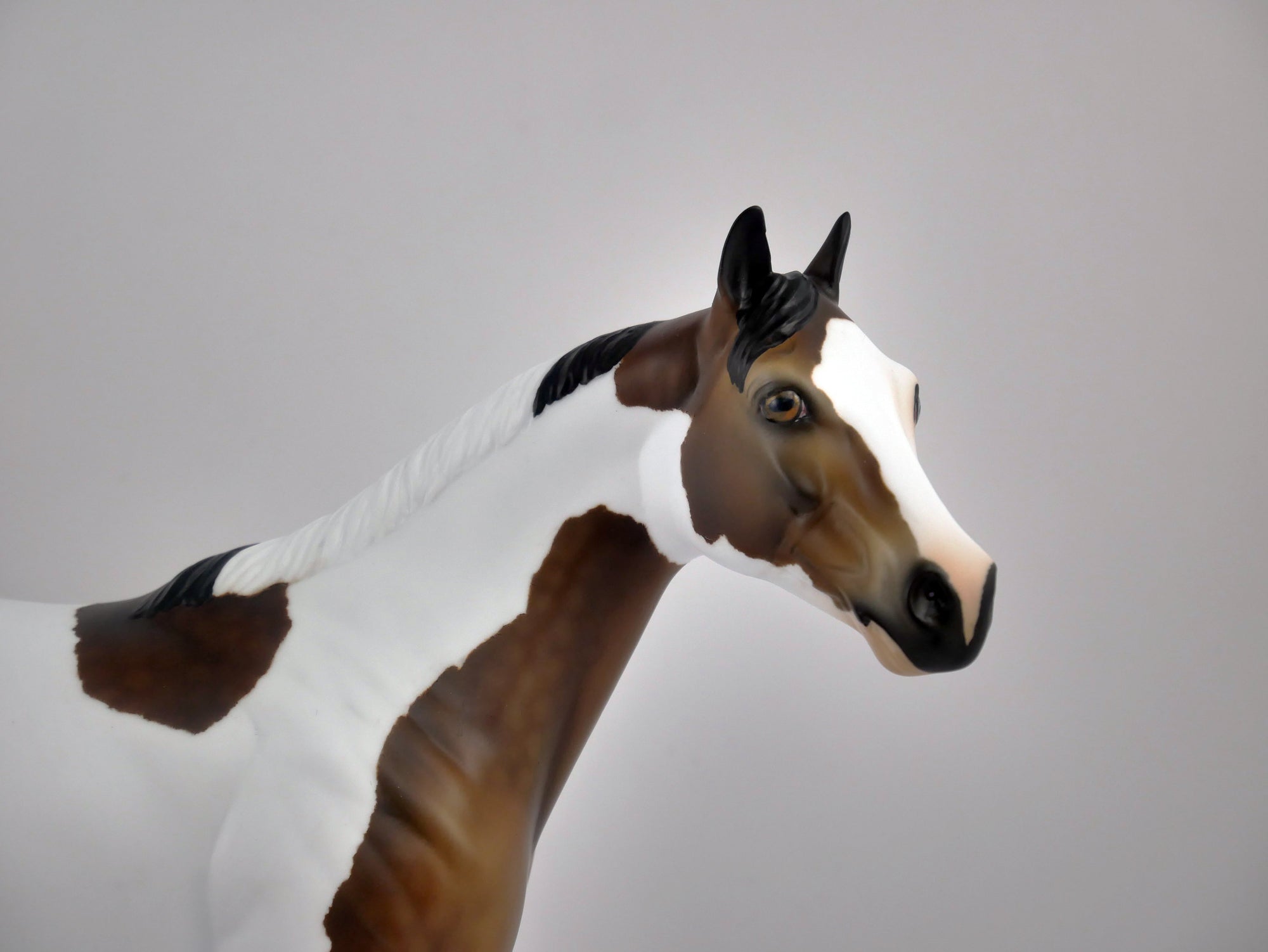 FAIRFAX-OOAK DAPPLE BAY PINTO ISH BY AUDREY DIXON