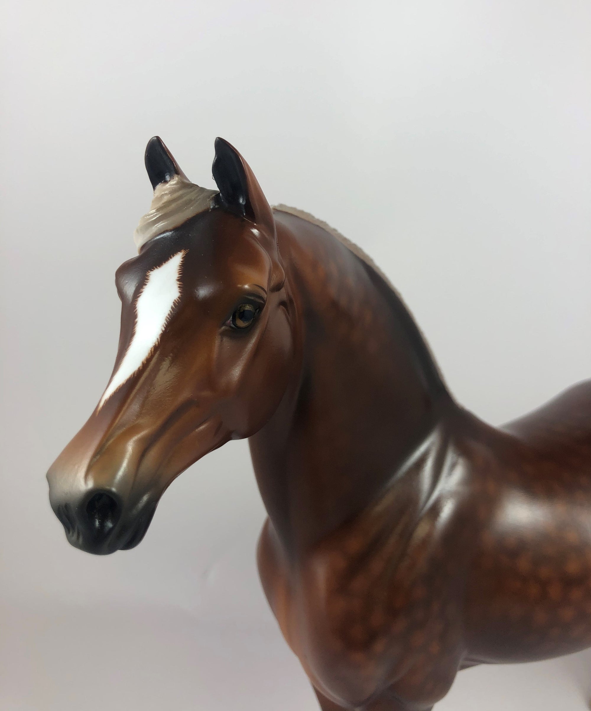 FALL FLING -OOAK SILVER BAY MORGAN MODEL HORSE BY SHERYL LEISURE LHS 19