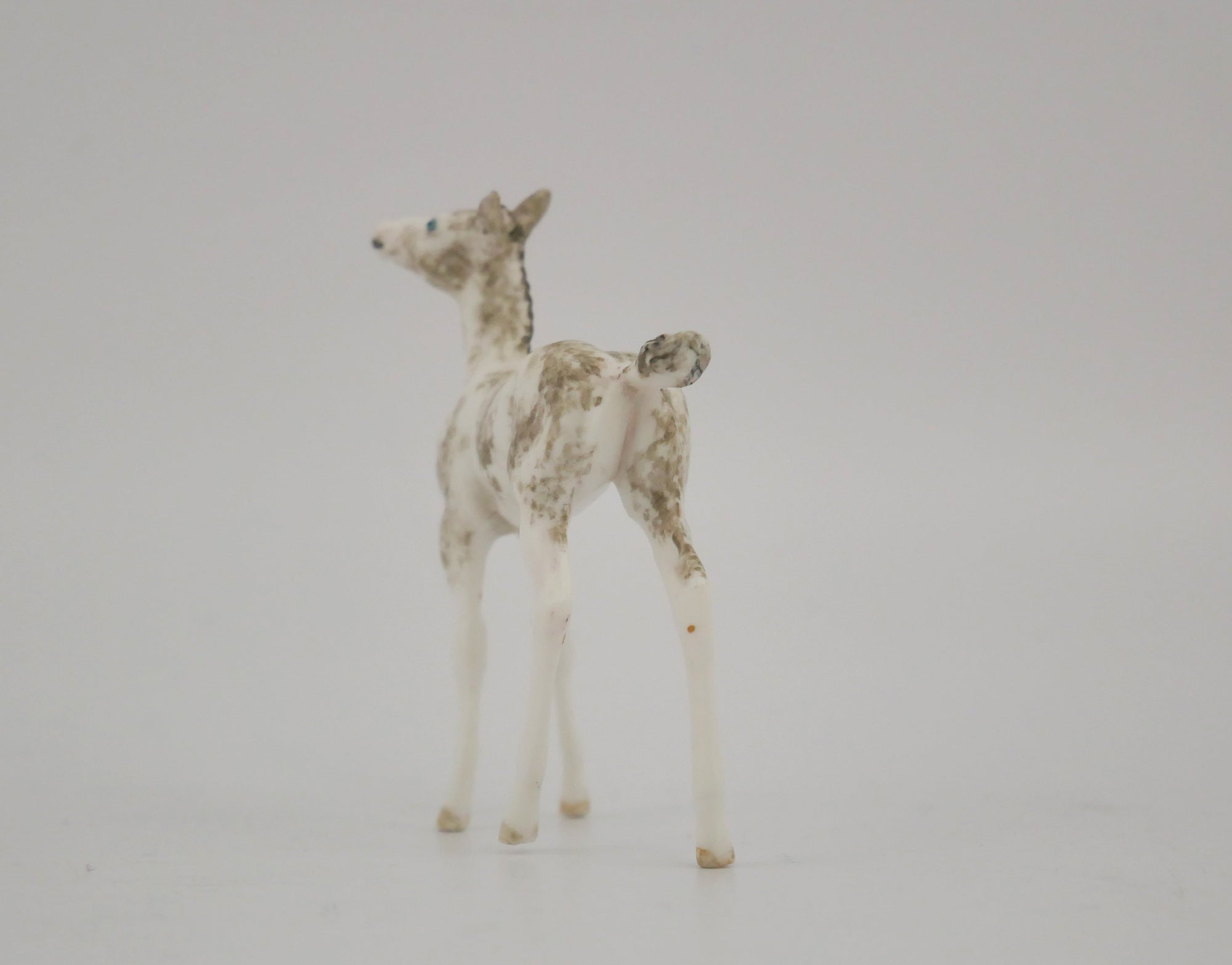 FANCIFUL-OOAK GRULLA SABINO FOAL BY ANDREA