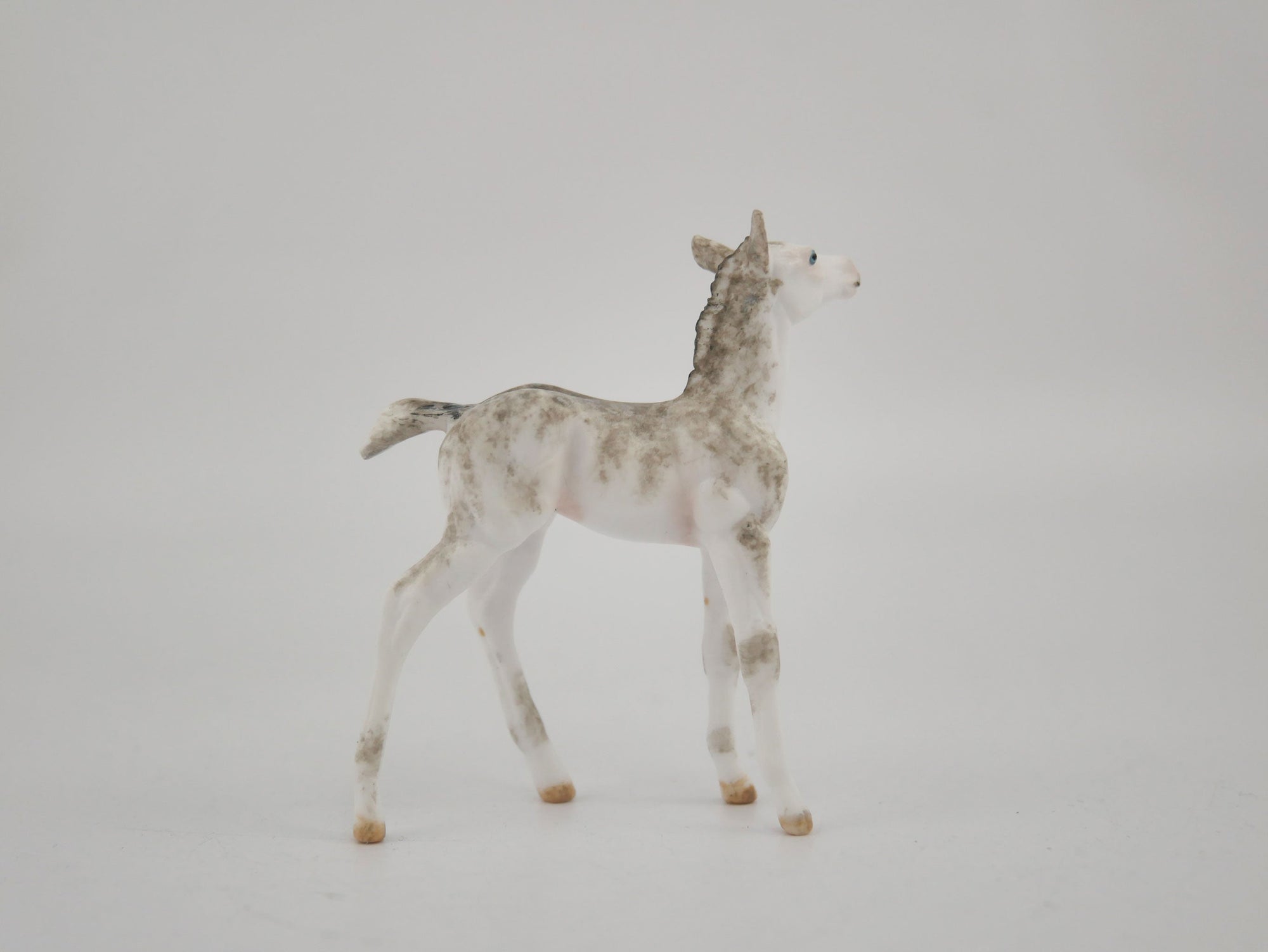 Feald-OOAK Foal Brindle Chip By Andrea MM 2020