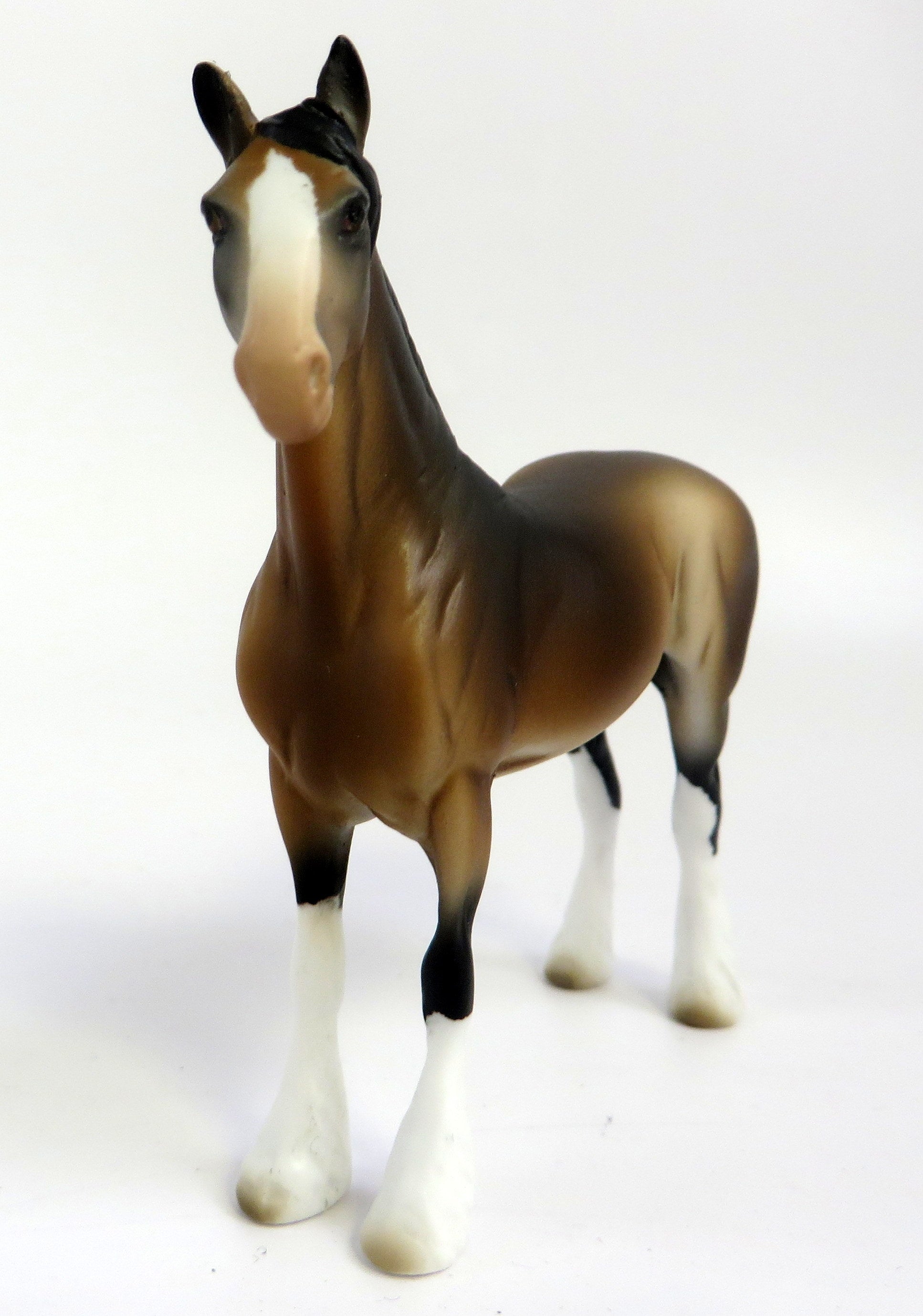 FERDNAND-OOAK BAY DRAFT CHIP EQ 2019