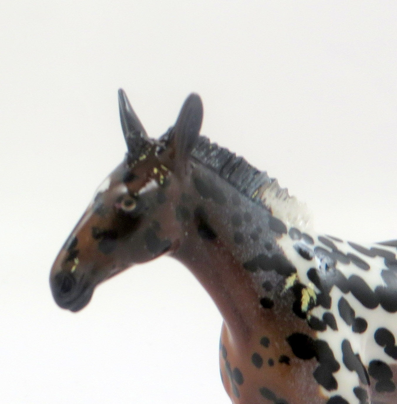 FERGIE-OOAK LOUD APPALOOSA MULE CHIP MODEL HORSE EQ 19