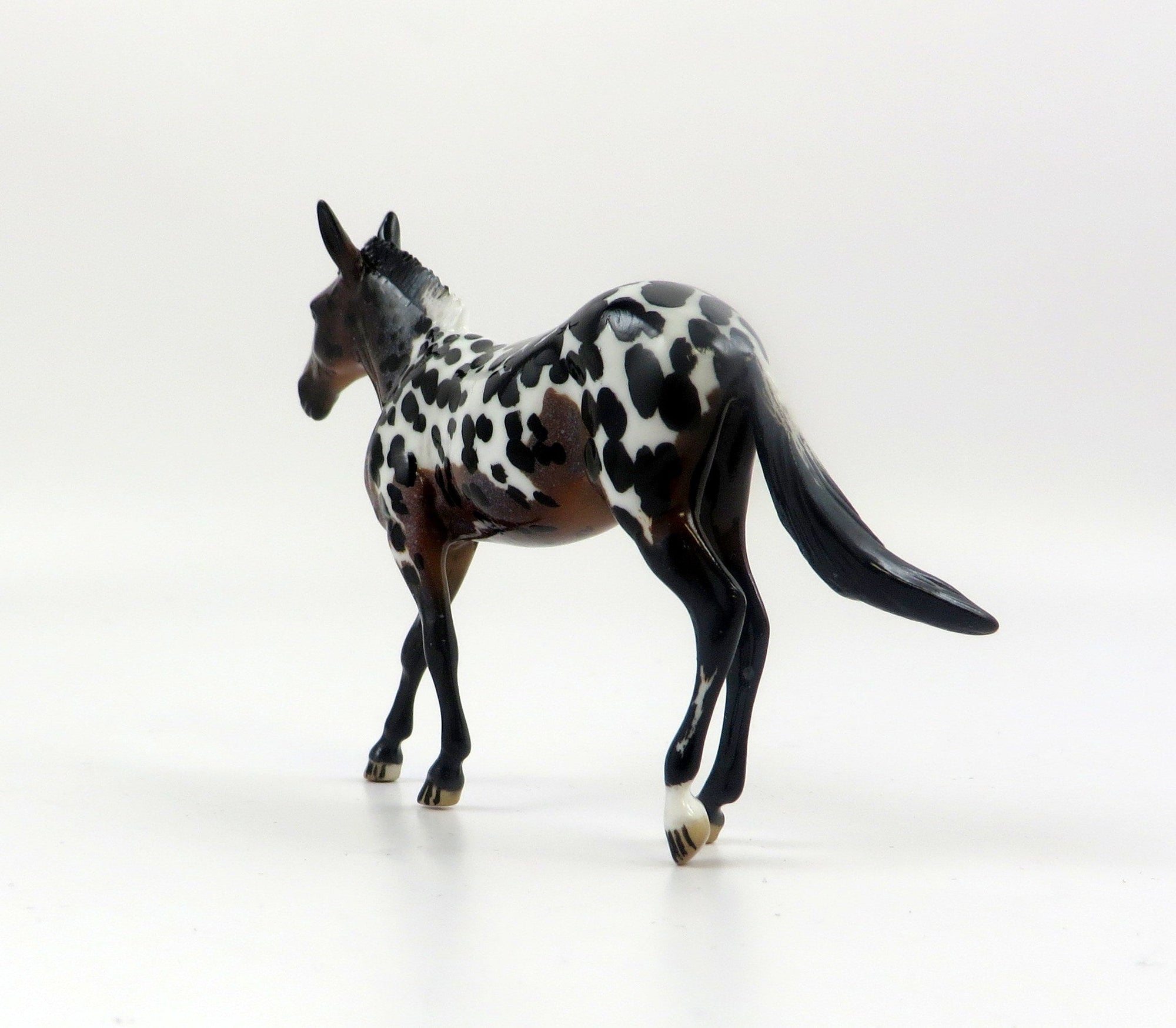 FERGIE-OOAK LOUD APPALOOSA MULE CHIP MODEL HORSE EQ 19