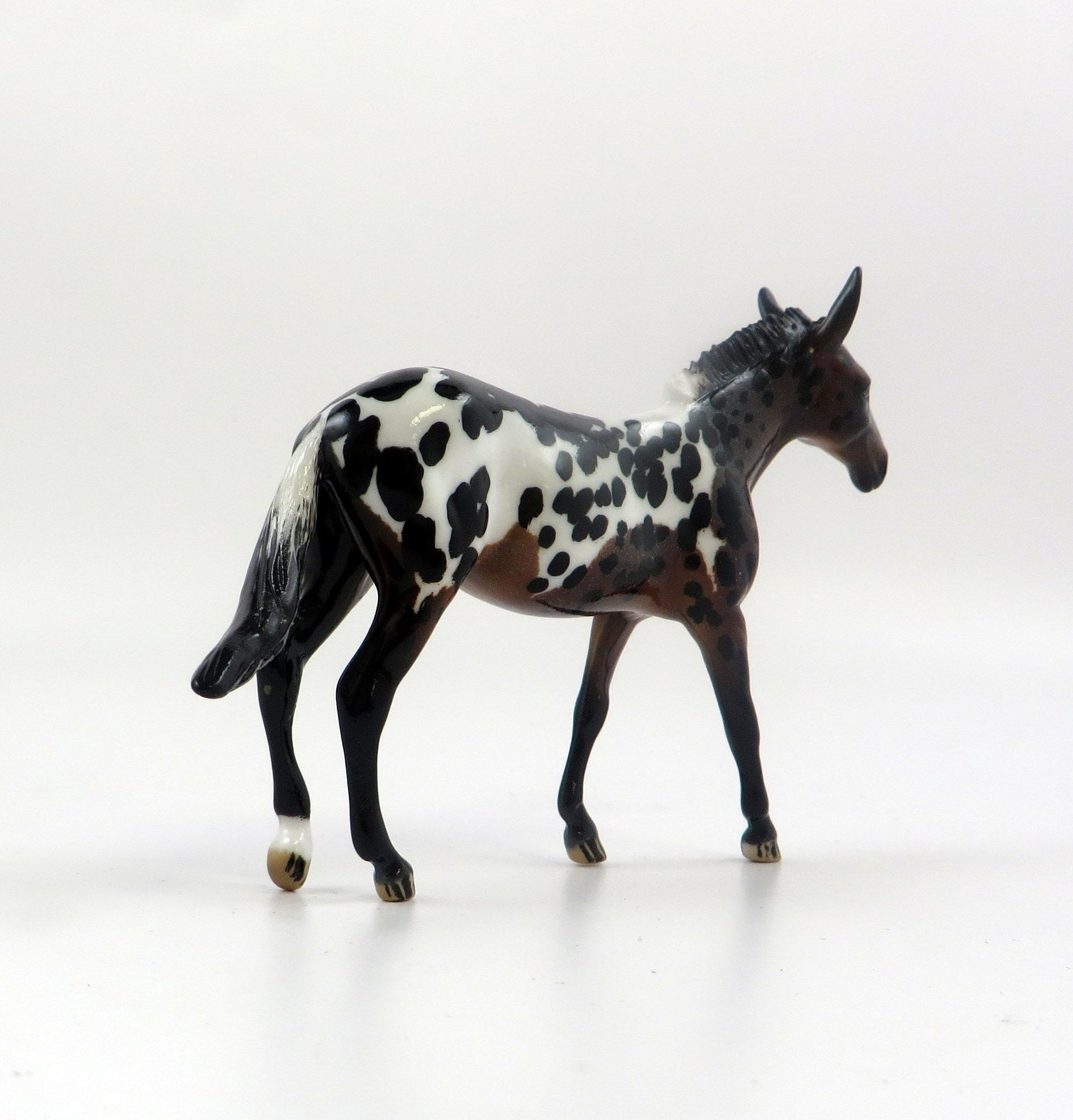 FERGIE-OOAK LOUD APPALOOSA MULE CHIP MODEL HORSE EQ 19