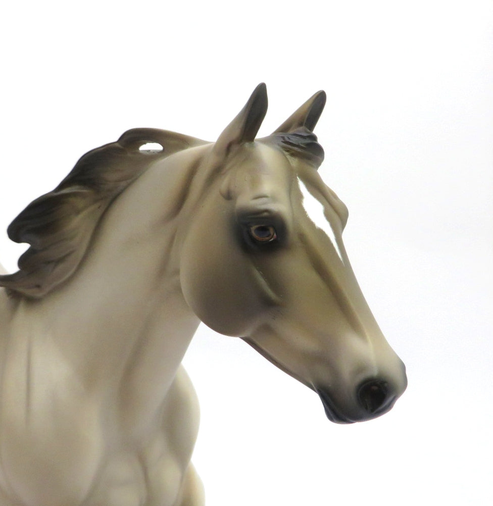 FERGUS-OOAK GRULLA FOUNDATION RUNNING QUARTER HORSE BY AUDREY DIXON 2/27/20