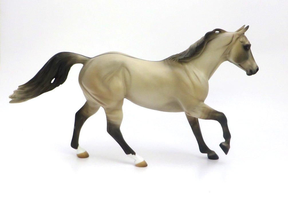 FERGUS-OOAK GRULLA FOUNDATION RUNNING QUARTER HORSE BY AUDREY DIXON 2/27/20