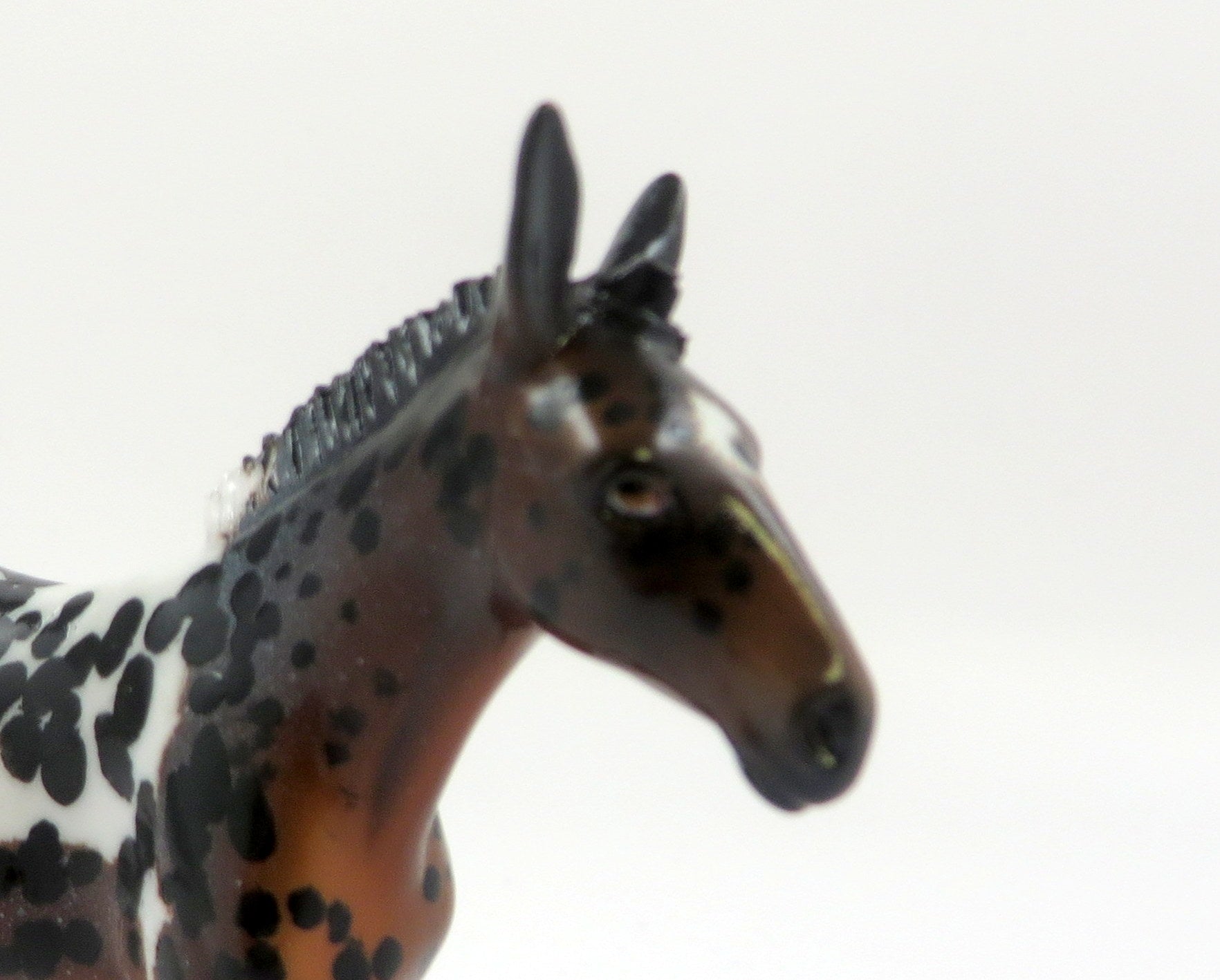 FERGIE-OOAK LOUD APPALOOSA MULE CHIP MODEL HORSE EQ 19