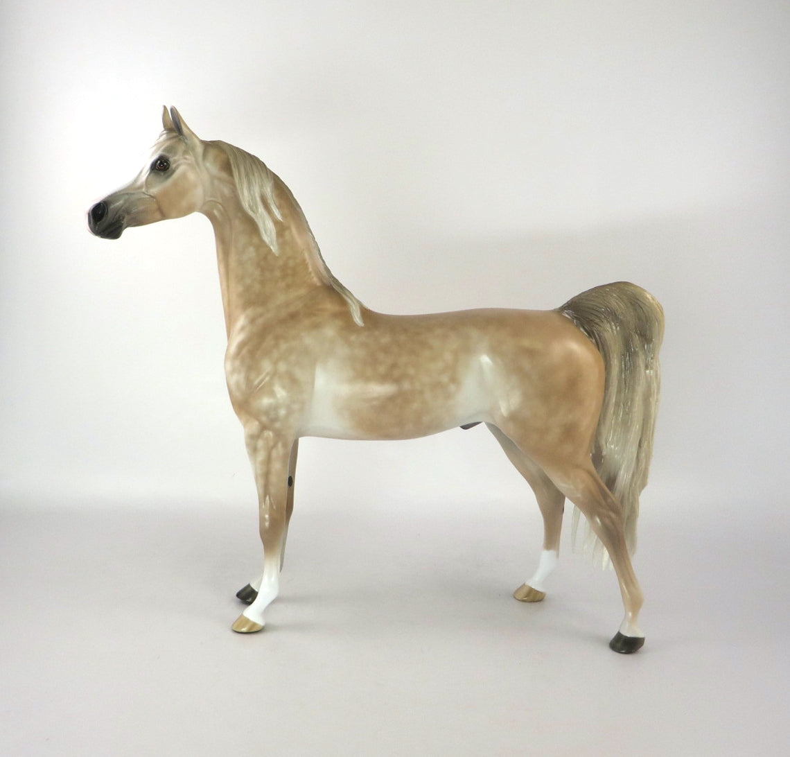 FINE TOQUE - OOAK CHESTNUT GOING GREY ARABIAN BY SHERYL LEISURE 2/25/20