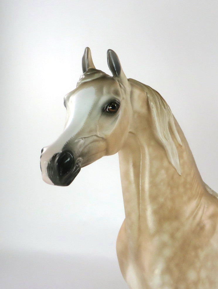 FINE TOQUE - OOAK CHESTNUT GOING GREY ARABIAN BY SHERYL LEISURE 2/25/20