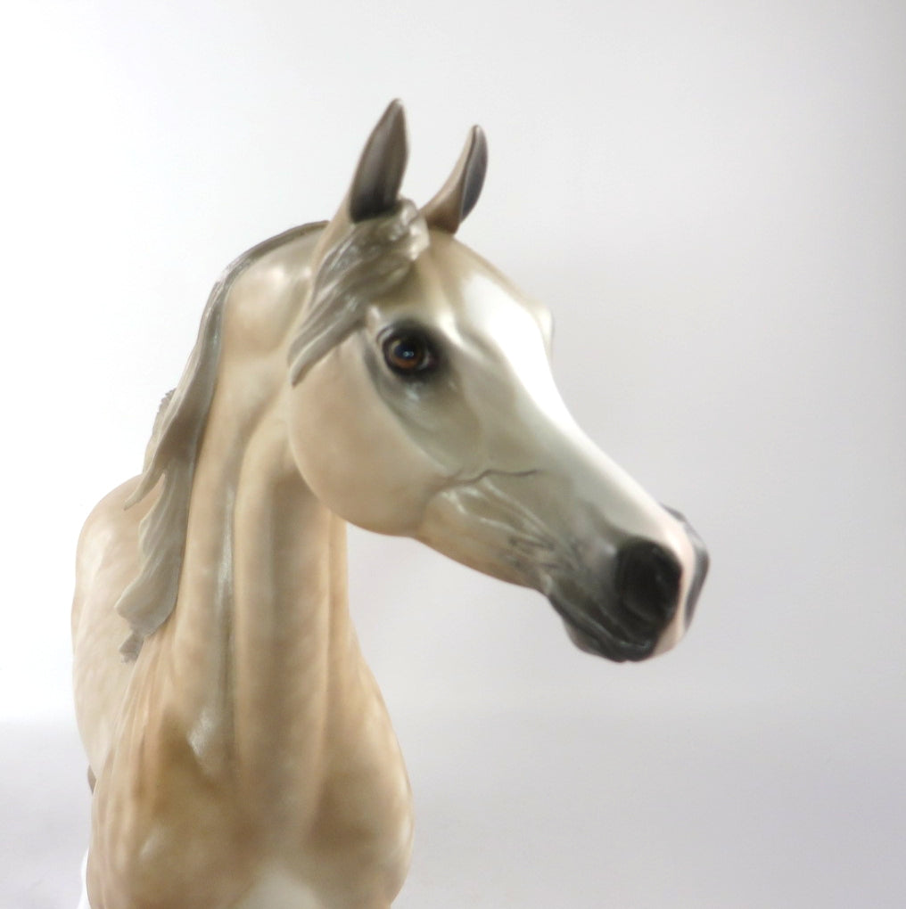 FINE TOQUE - OOAK CHESTNUT GOING GREY ARABIAN BY SHERYL LEISURE 2/25/20