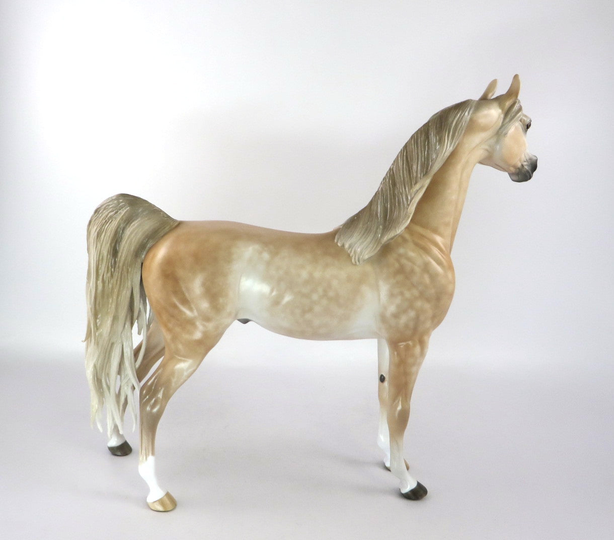 FINE TOQUE - OOAK CHESTNUT GOING GREY ARABIAN BY SHERYL LEISURE 2/25/20