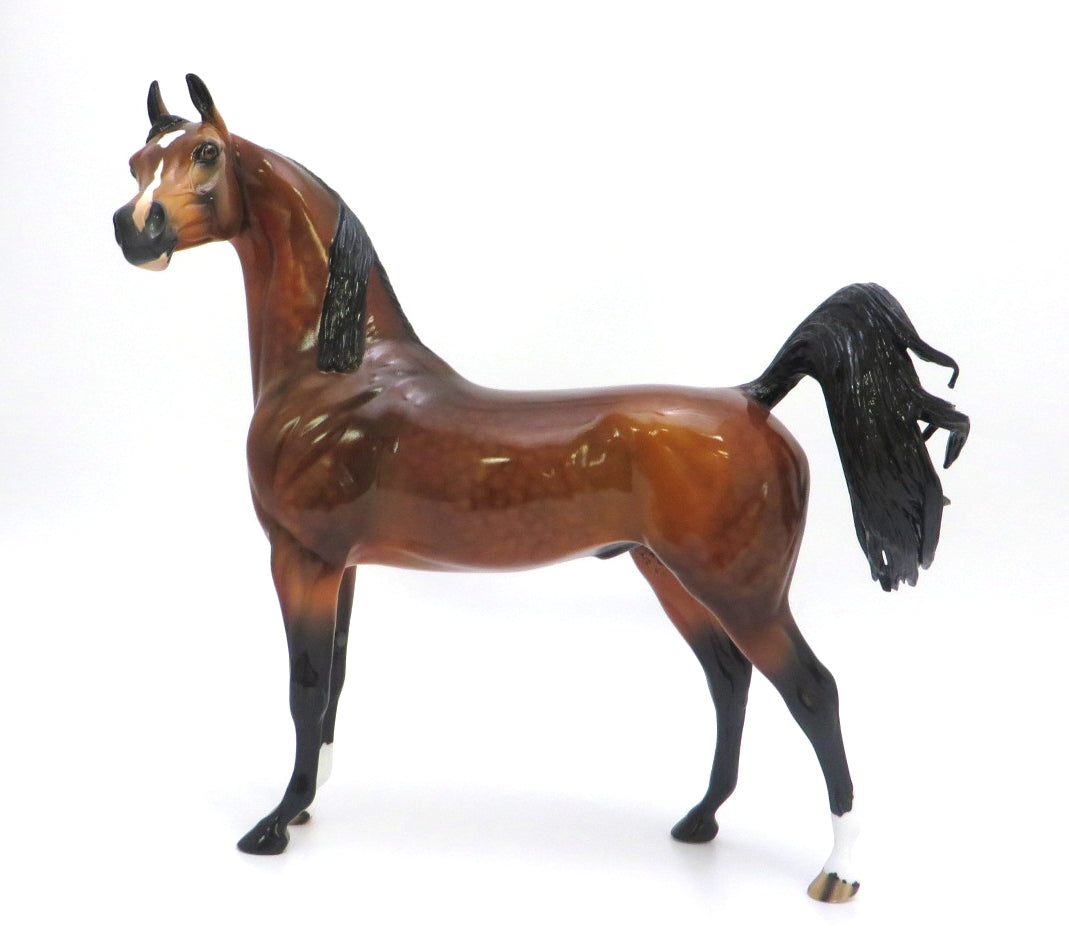 FIRE STARTER- LE-? GORGEOUS DAPPLE BAY ARABIAN BY AUDREY DIXON EA 2020