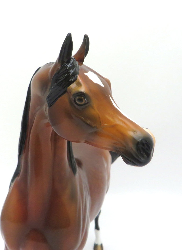 FIRE STARTER- LE-? GORGEOUS DAPPLE BAY ARABIAN BY AUDREY DIXON EA 2020