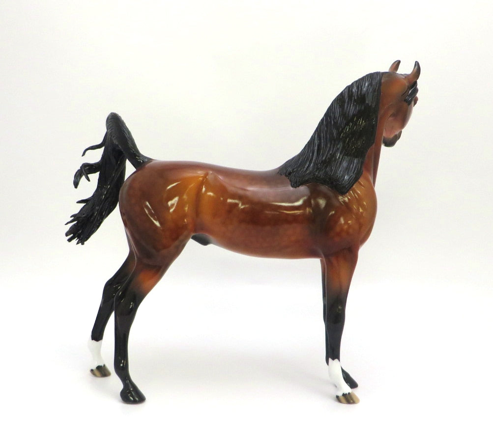 FIRE STARTER- LE-? GORGEOUS DAPPLE BAY ARABIAN BY AUDREY DIXON EA 2020