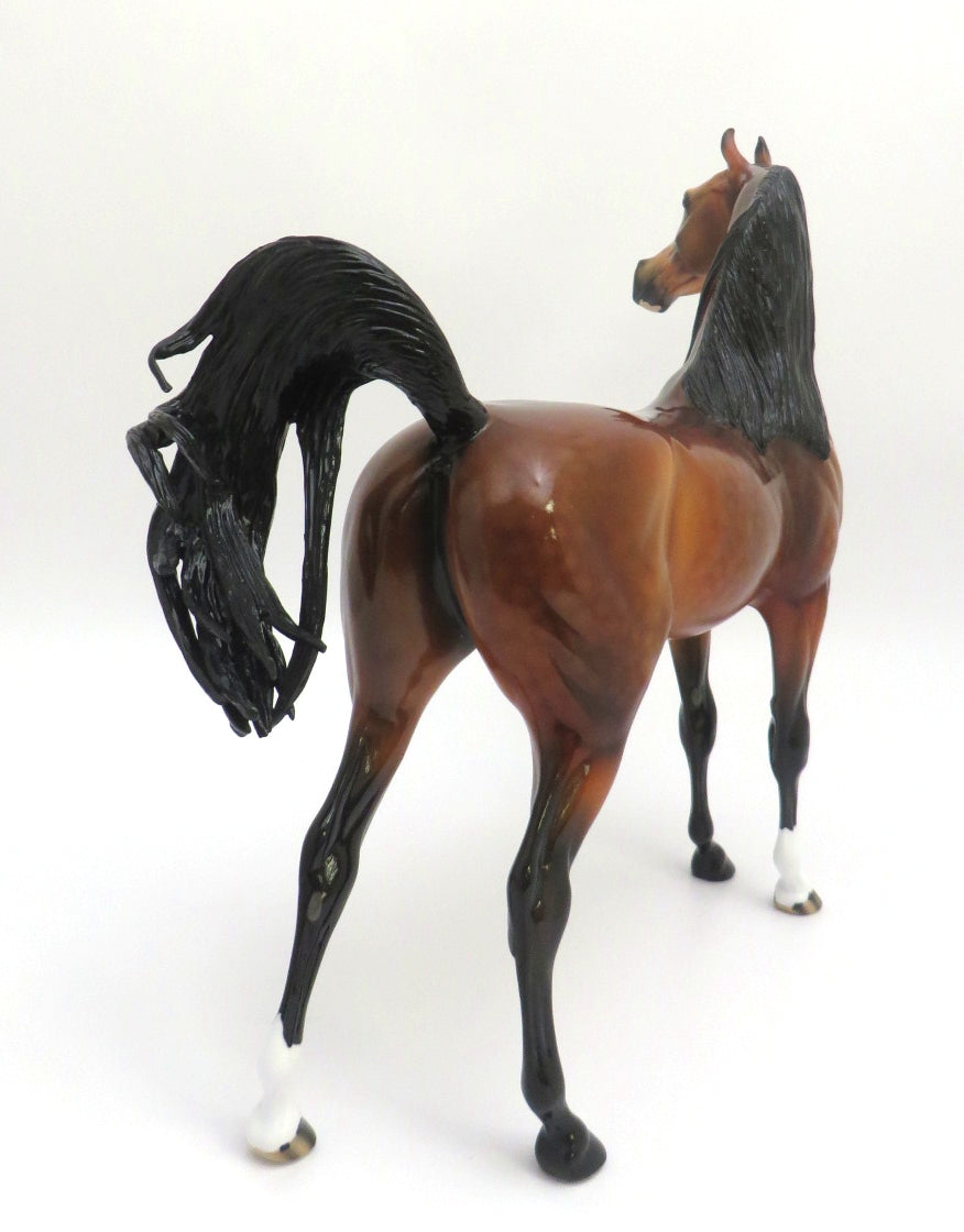 FIRE STARTER- LE-? GORGEOUS DAPPLE BAY ARABIAN BY AUDREY DIXON EA 2020