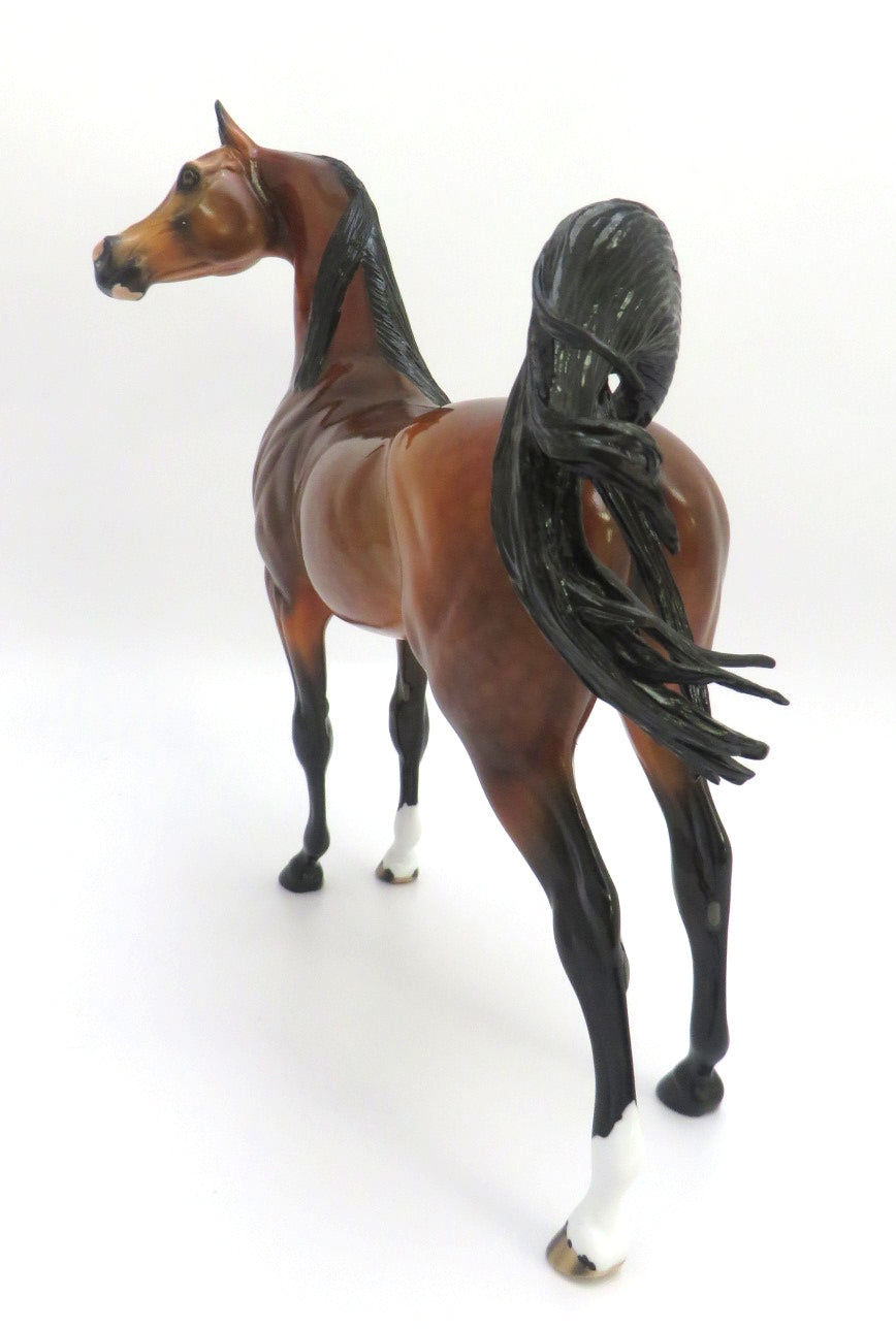 FIRE STARTER- LE-? GORGEOUS DAPPLE BAY ARABIAN BY AUDREY DIXON EA 2020