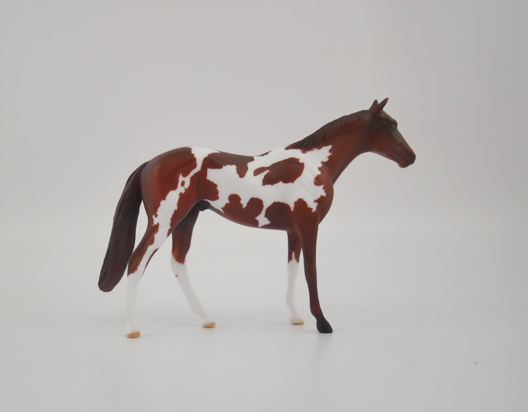 FIRED BRICK-OOAK CHESTNUT PINTO CHIP BY KAYLA WESSE EQ 2020