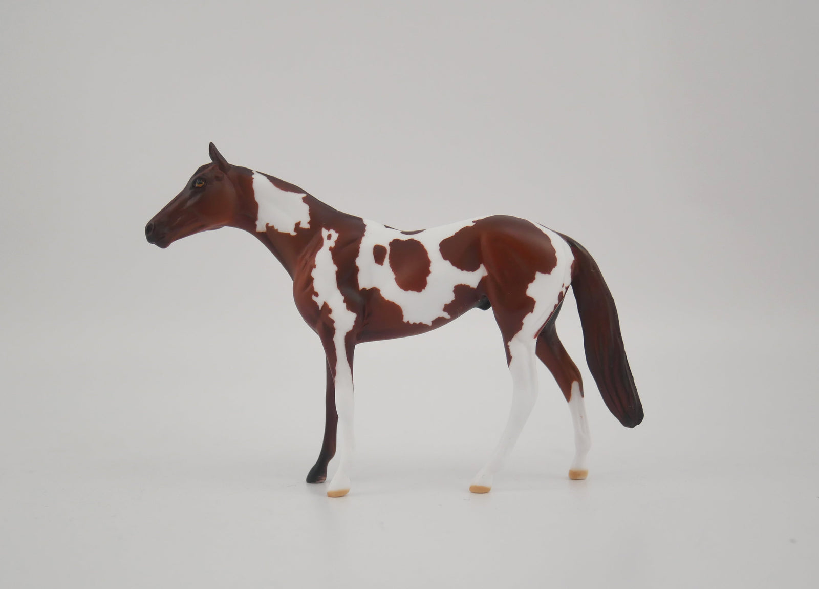 FIRED BRICK-OOAK CHESTNUT PINTO CHIP BY KAYLA WESSE EQ 2020