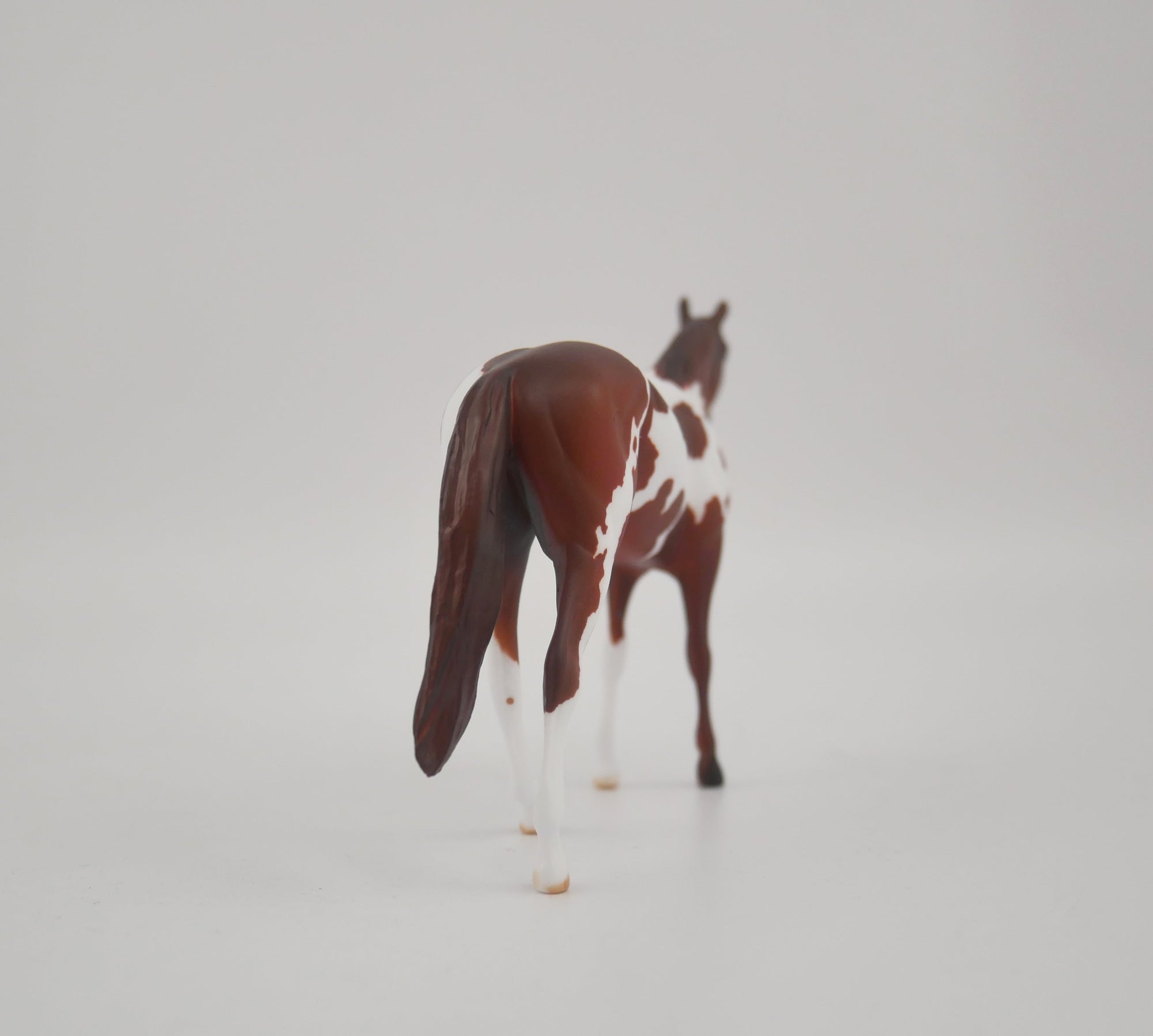 FIRED BRICK-OOAK CHESTNUT PINTO CHIP BY KAYLA WESSE EQ 2020