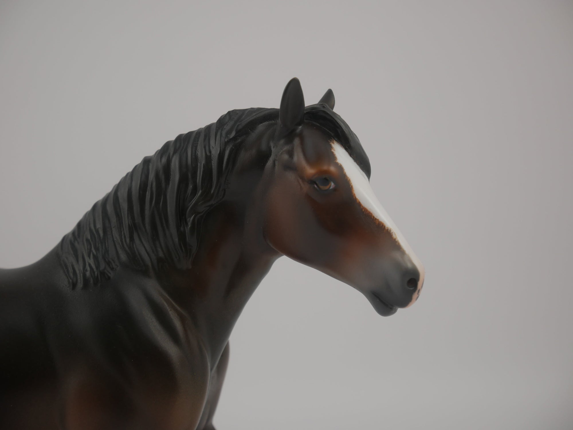 Firefly-LE-16 Art of the Horse Finalist Brooke Hall EQ 2020