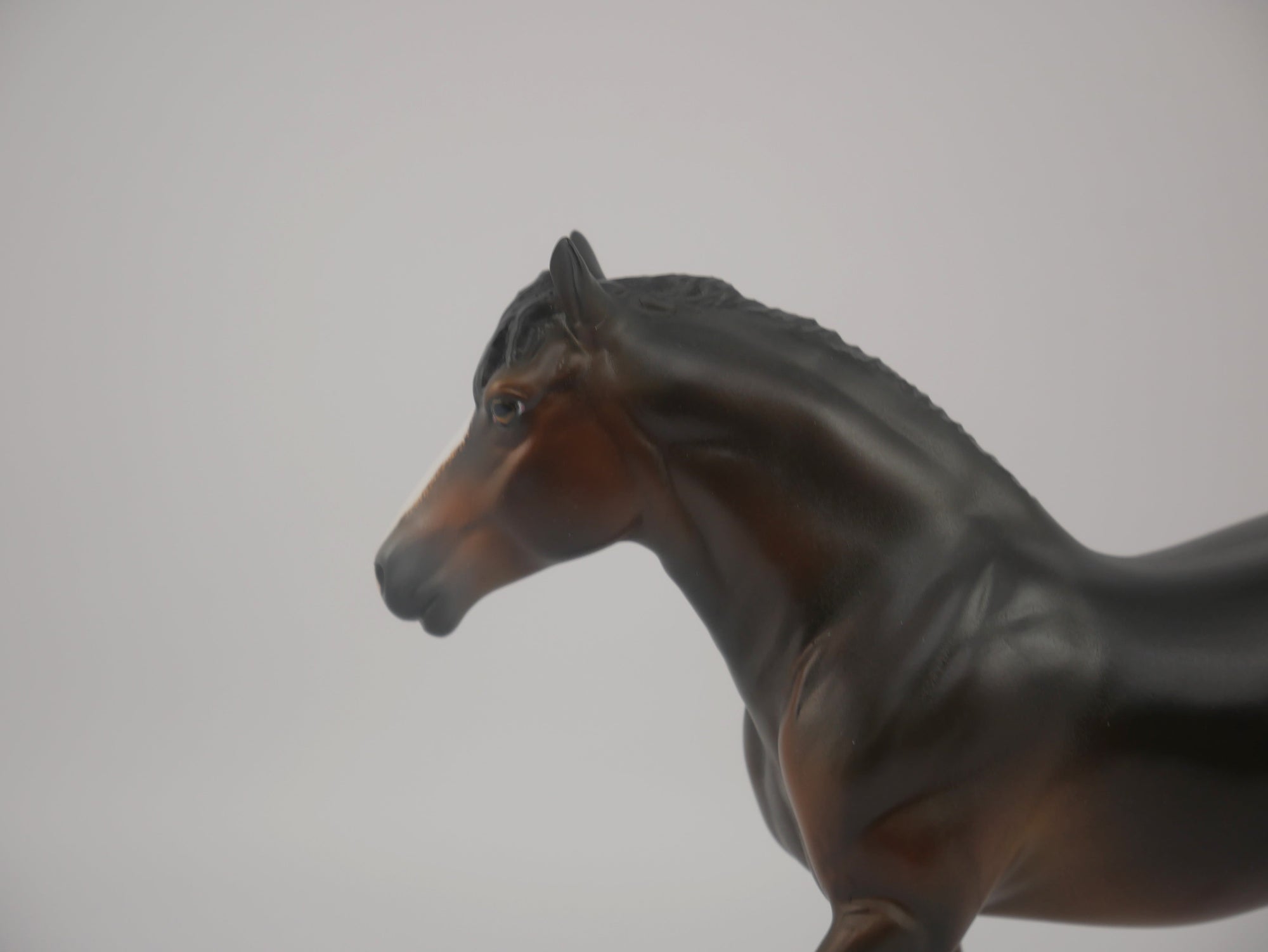 Firefly-LE-16 Art of the Horse Finalist Brooke Hall EQ 2020