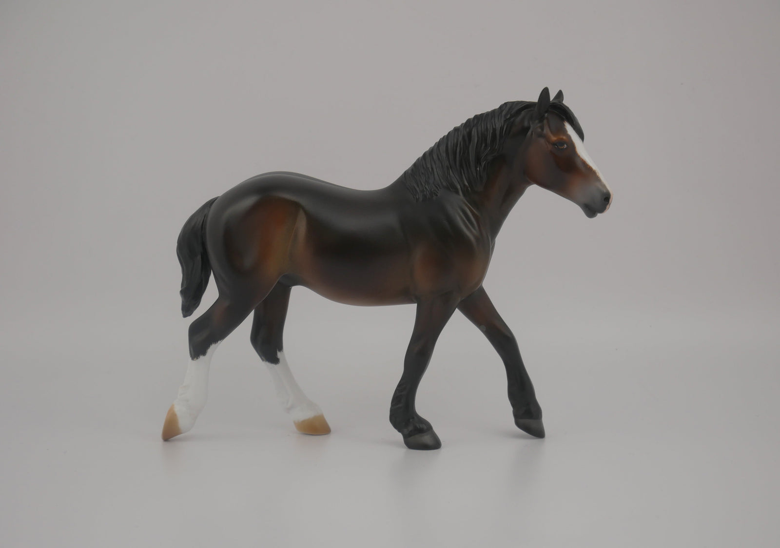 Firefly-LE-16 Art of the Horse Finalist Brooke Hall EQ 2020