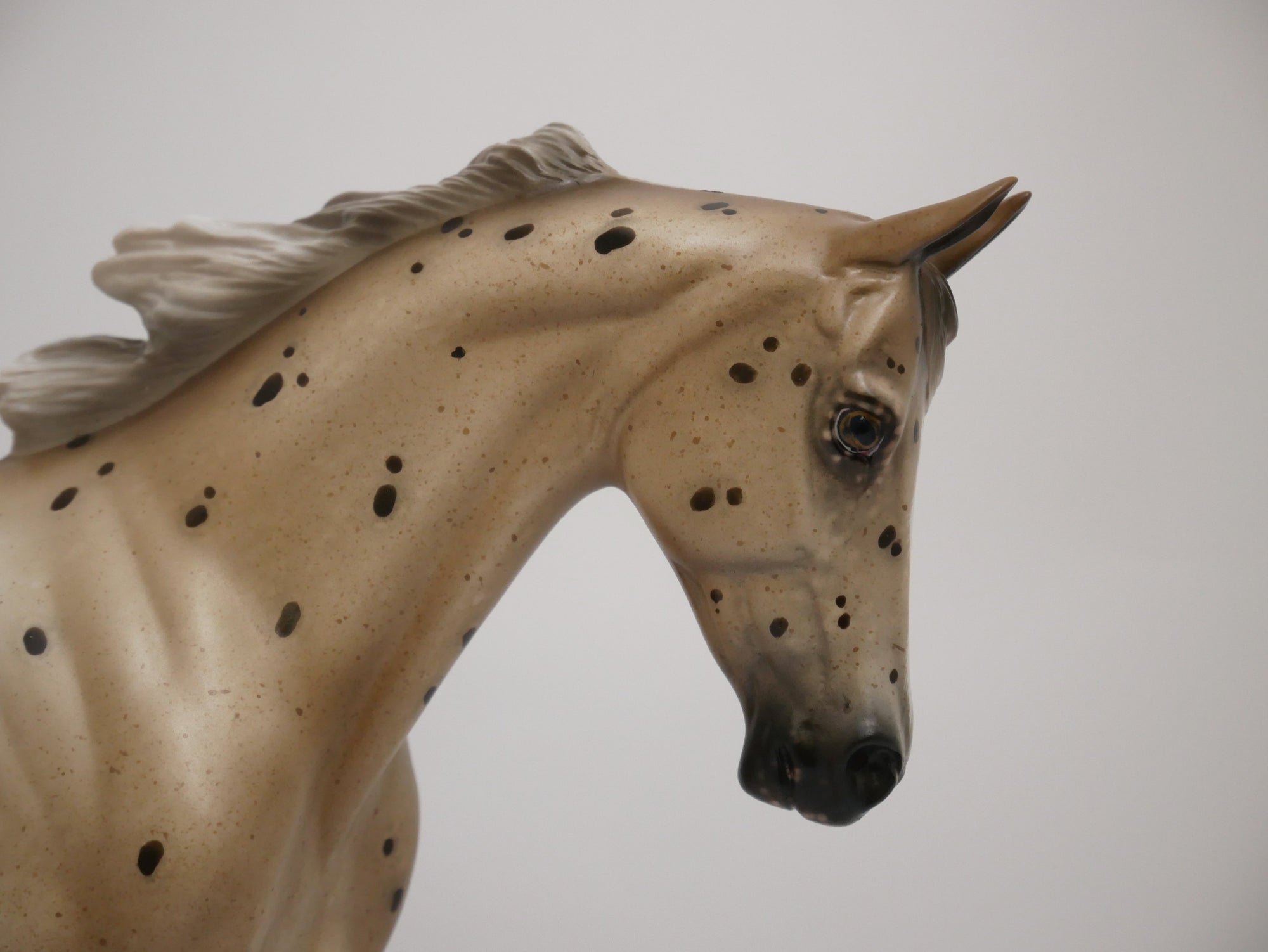 FLEEGLE-OOAK CHESTNUT APPALOOSA THOROUGHBRED MODEL HORSE BY SHERYL LEISURE 6/20/30