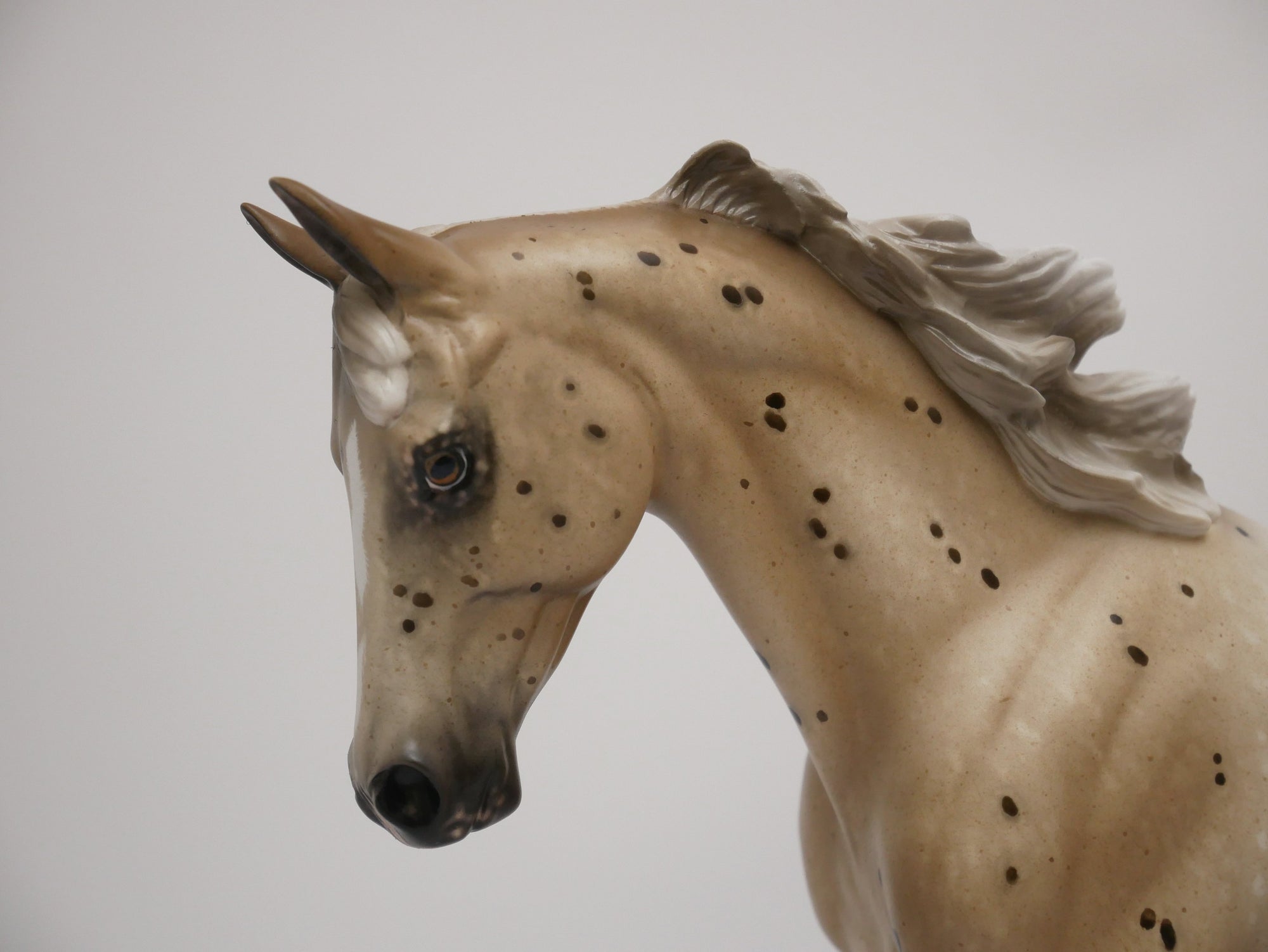 FLEEGLE-OOAK CHESTNUT APPALOOSA THOROUGHBRED MODEL HORSE BY SHERYL LEISURE 6/20/30