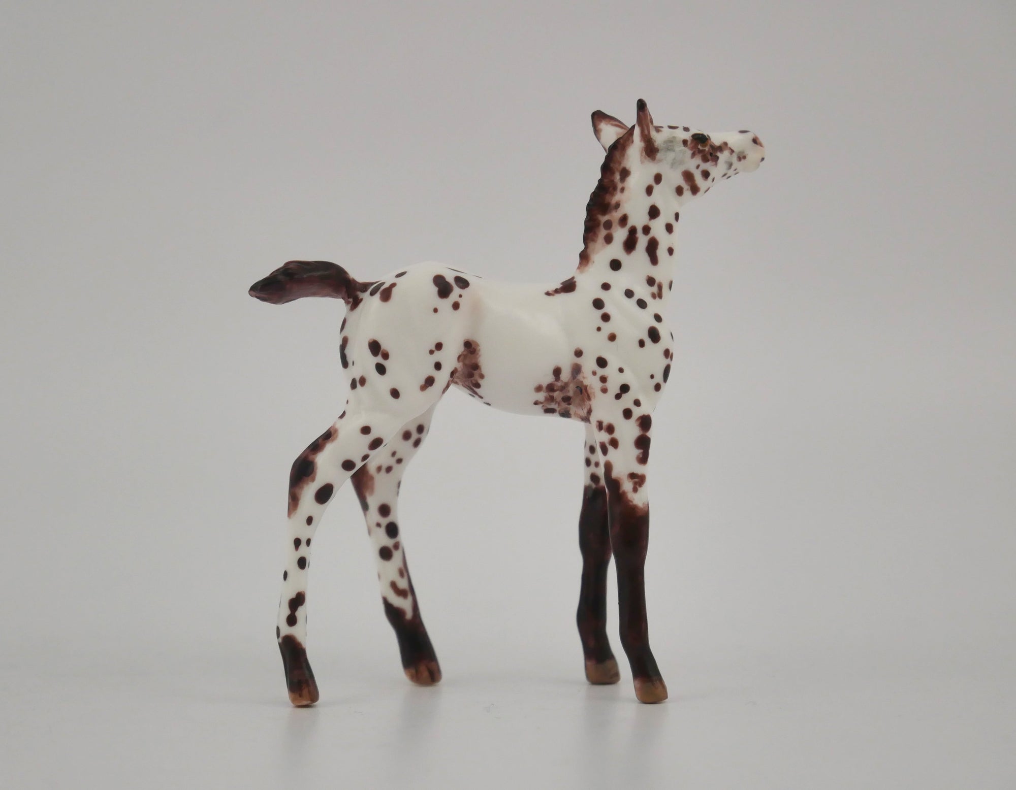 FLIRTATIOUS -OOAK CHESTNUT LEOPARD APPALOOSA FOAL BY ANDREA