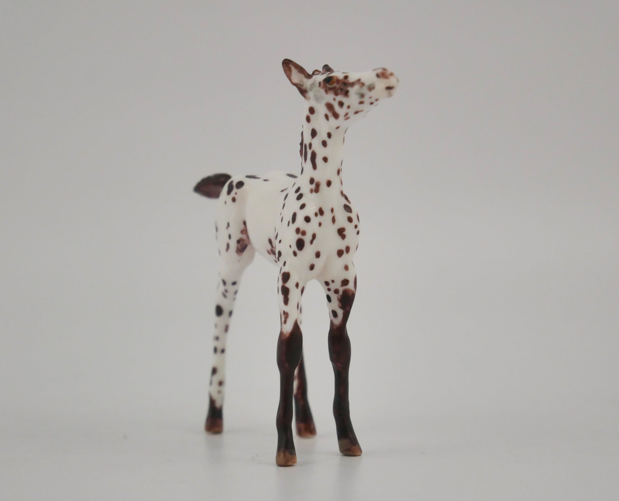 FLIRTATIOUS -OOAK CHESTNUT LEOPARD APPALOOSA FOAL BY ANDREA