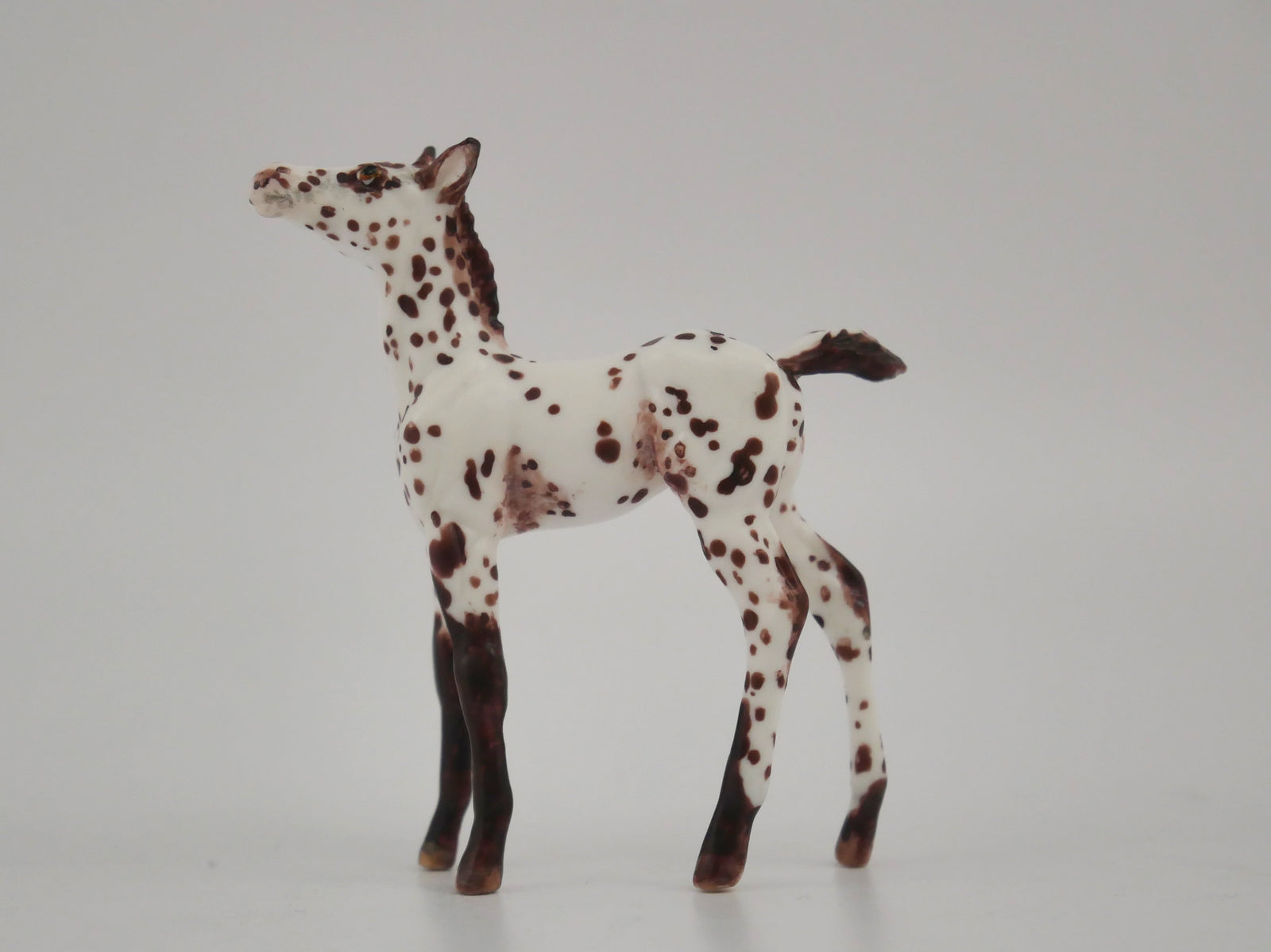FLIRTATIOUS -OOAK CHESTNUT LEOPARD APPALOOSA FOAL BY ANDREA