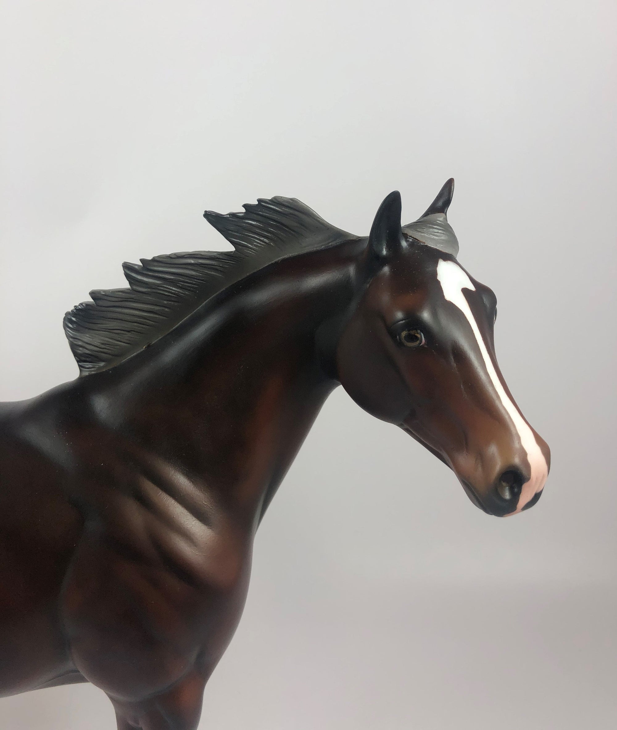 FLYING J-SILVER BAY ISH MODEL HORSE LHS 2019