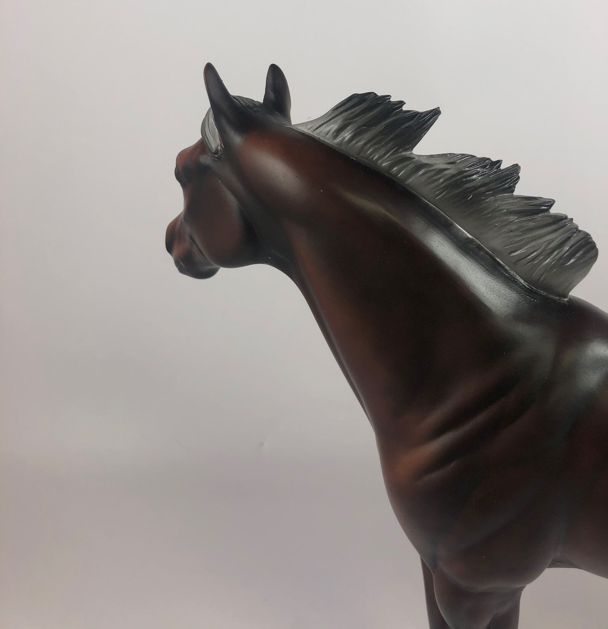 FLYING J-SILVER BAY ISH MODEL HORSE LHS 2019