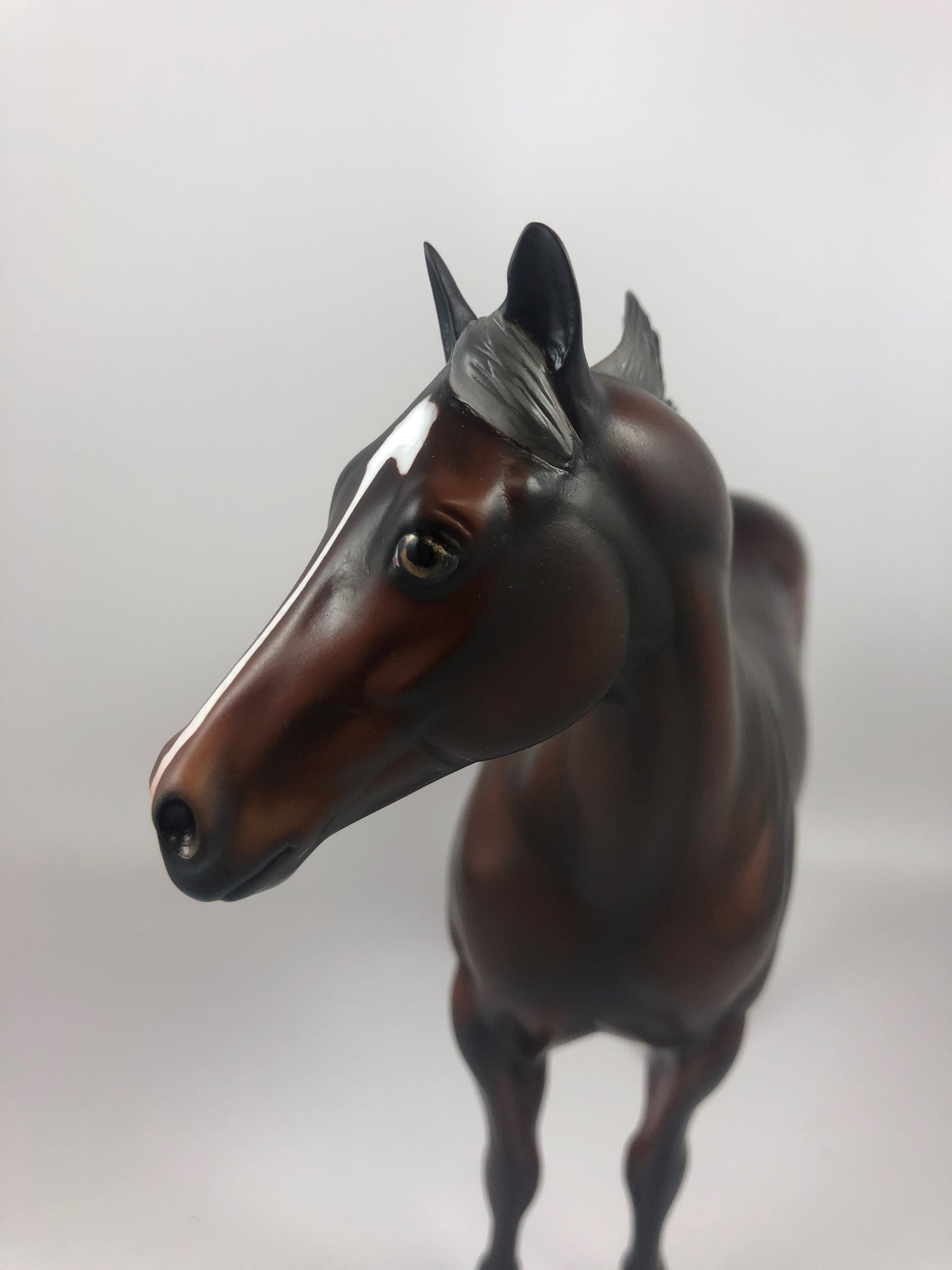 FLYING J-SILVER BAY ISH MODEL HORSE LHS 2019