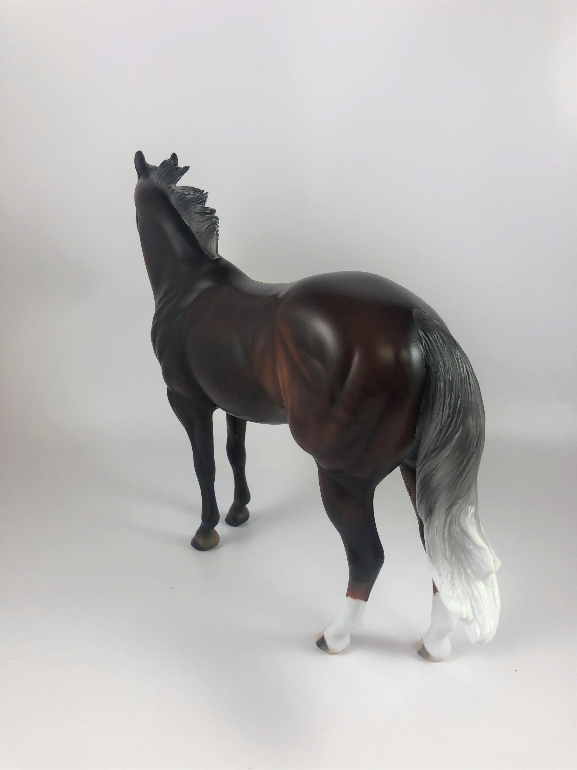 FLYING J-SILVER BAY ISH MODEL HORSE LHS 2019