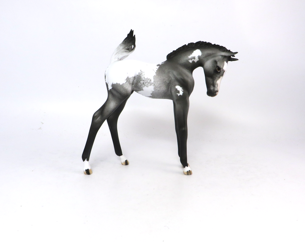 STRIKER- OOAK GREY APPALOOSA ARABIAN FOAL CUSTOM BY DAWN QUICK SB19