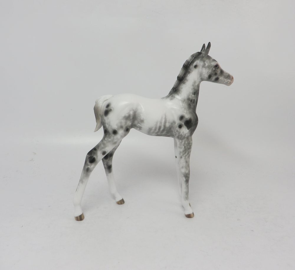 PURSUIT OF HAPPINESS- OOAK APPALOOSA FOAL BY SHERYL LEISURE  2-20-19