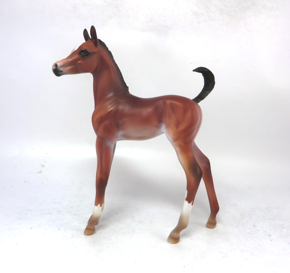 LACY--- OOAK BAY ARABIAN FOAL BY DAWN QUICK 2-20-19