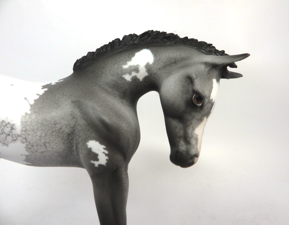 STRIKER- OOAK GREY APPALOOSA ARABIAN FOAL CUSTOM BY DAWN QUICK SB19