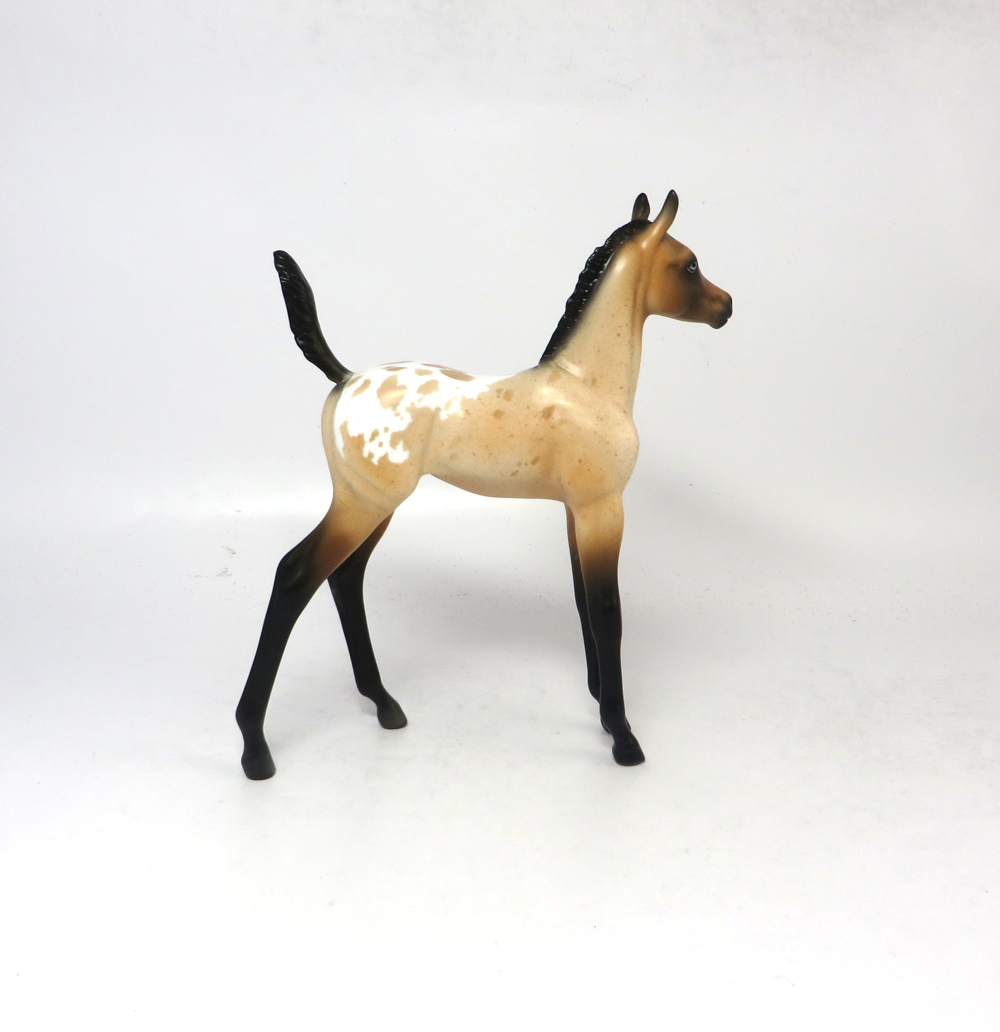 TURF-OOAK BUCkSKIN APPY FOAL BY DAWN QUICK SB19