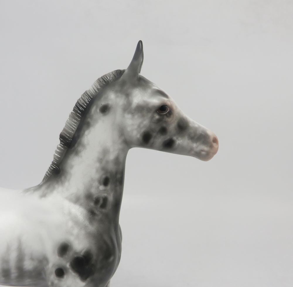 PURSUIT OF HAPPINESS- OOAK APPALOOSA FOAL BY SHERYL LEISURE  2-20-19