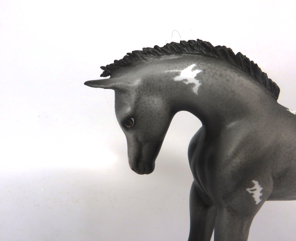STRIKER- OOAK GREY APPALOOSA ARABIAN FOAL CUSTOM BY DAWN QUICK SB19