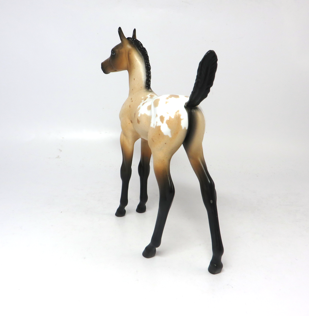 TURF-OOAK BUCkSKIN APPY FOAL BY DAWN QUICK SB19