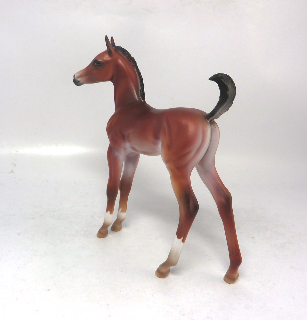LACY--- OOAK BAY ARABIAN FOAL BY DAWN QUICK 2-20-19
