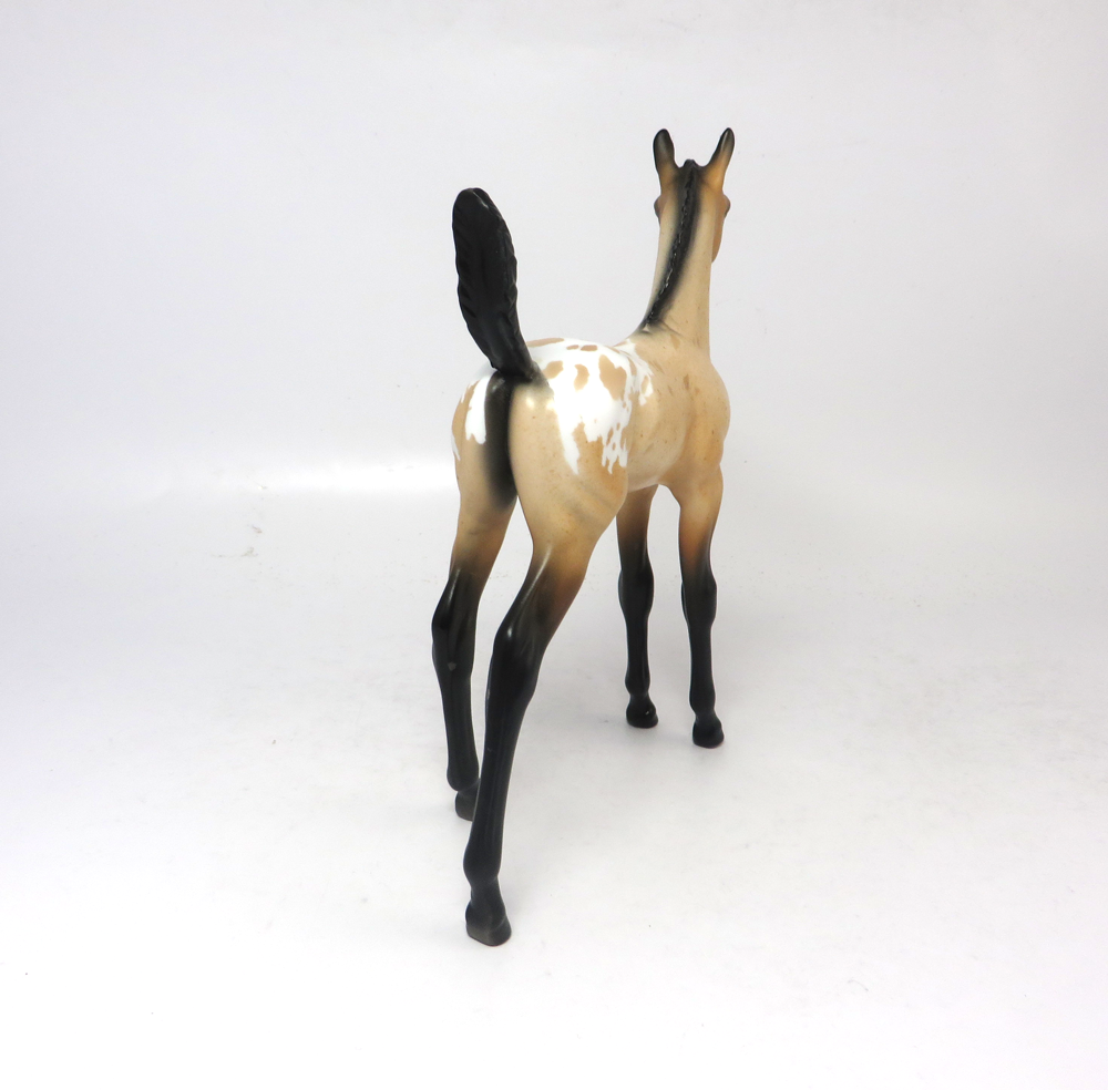 TURF-OOAK BUCkSKIN APPY FOAL BY DAWN QUICK SB19
