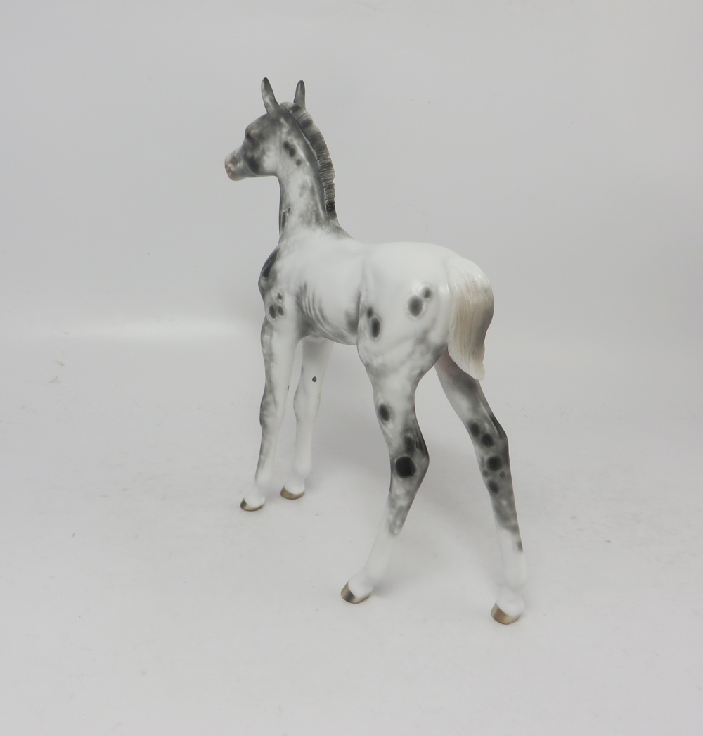 PURSUIT OF HAPPINESS- OOAK APPALOOSA FOAL BY SHERYL LEISURE  2-20-19