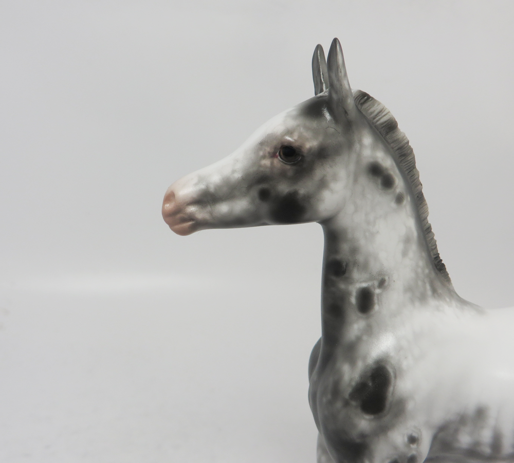 PURSUIT OF HAPPINESS- OOAK APPALOOSA FOAL BY SHERYL LEISURE  2-20-19