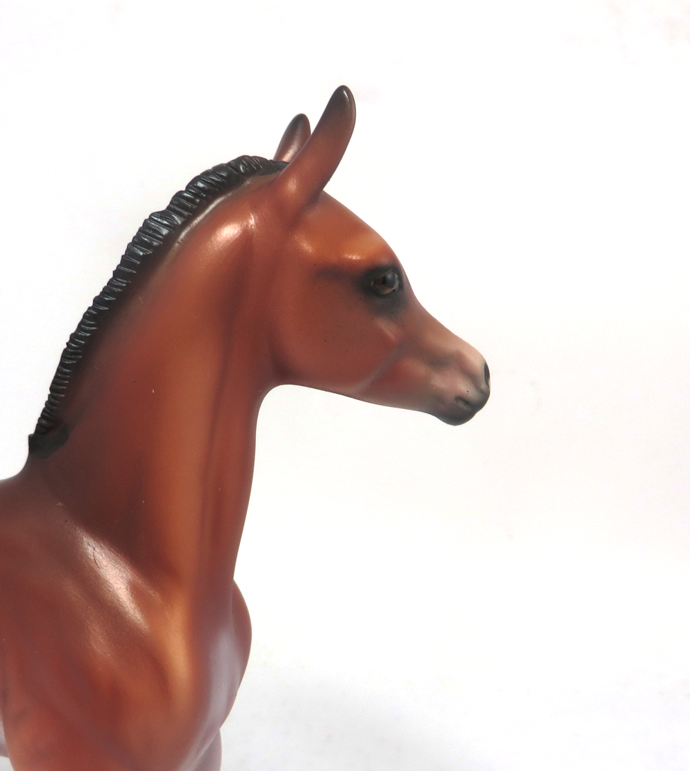 LACY--- OOAK BAY ARABIAN FOAL BY DAWN QUICK 2-20-19