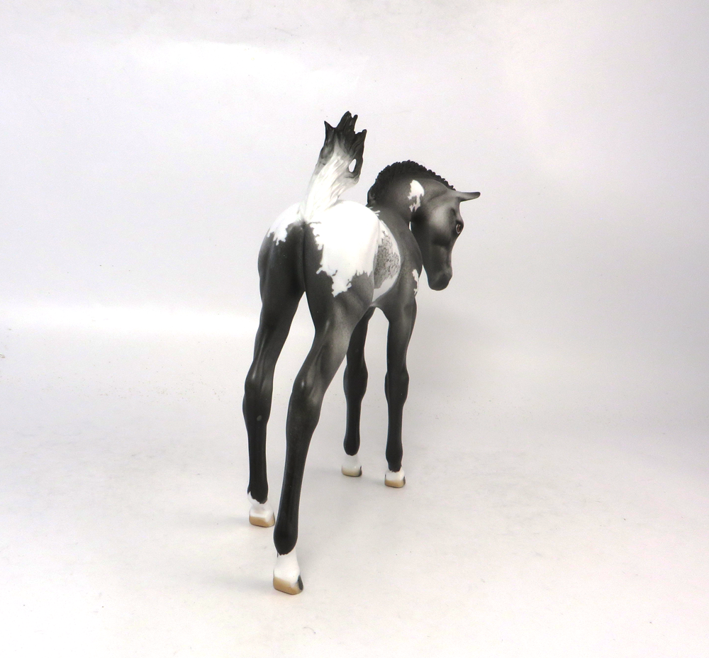 STRIKER- OOAK GREY APPALOOSA ARABIAN FOAL CUSTOM BY DAWN QUICK SB19
