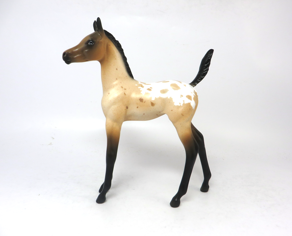 TURF-OOAK BUCkSKIN APPY FOAL BY DAWN QUICK SB19